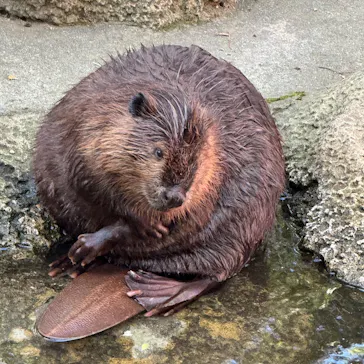 千葉市動物公園に投稿された画像（2026/5/31）
