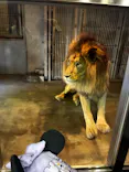 天王寺動物園に投稿された画像（2026/6/1）