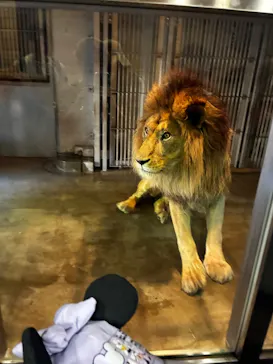 天王寺動物園に投稿された画像（2026/5/31）