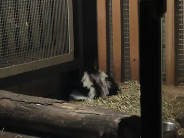 恩賜上野動物園に投稿された画像（2026/6/1）