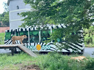 多摩動物公園 ライオンバス乗車券に投稿された画像（2026/6/1）