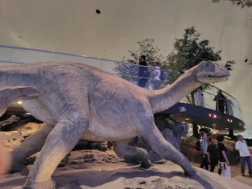 福井県立恐竜博物館に投稿された画像（2026/6/1）