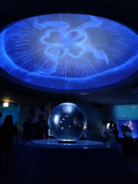 新江ノ島水族館に投稿された画像（2026/6/1）