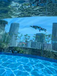 サンシャイン水族館に投稿された画像（2026/6/1）
