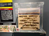 特別展「超危険生物展　科学で挑む生き物の本気」に投稿された画像（2026/6/1）