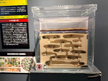 特別展「超危険生物展　科学で挑む生き物の本気」に投稿された画像（2026/6/1）