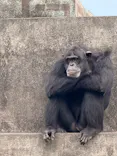 伊豆シャボテン動物公園に投稿された画像（2026/6/1）