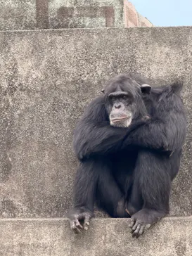 伊豆シャボテン動物公園に投稿された画像（2026/6/1）