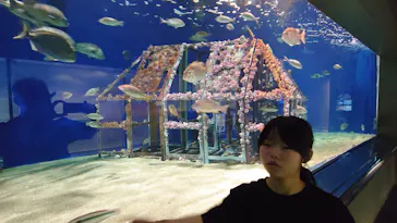 マリンワールド海の中道に投稿された画像（2026/6/1）