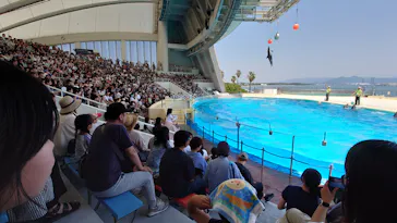 マリンワールド海の中道に投稿された画像（2026/6/1）
