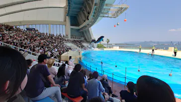 マリンワールド海の中道に投稿された画像（2026/6/1）