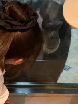 天王寺動物園に投稿された画像（2026/6/1）
