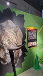 特別展「超危険生物展　科学で挑む生き物の本気」に投稿された画像（2026/6/1）