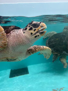 仙台うみの杜水族館に投稿された画像（2026/6/1）