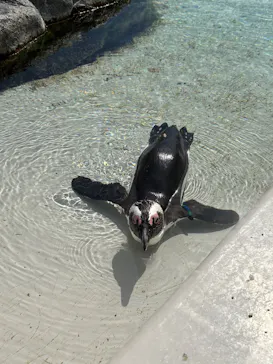 仙台うみの杜水族館に投稿された画像（2026/6/1）