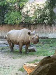 天王寺動物園に投稿された画像（2026/6/1）