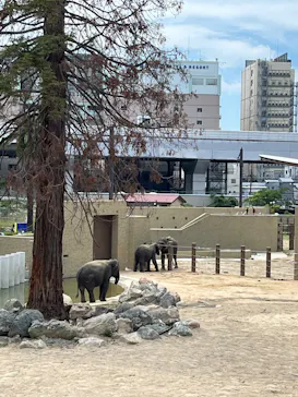 天王寺動物園に投稿された画像（2026/6/1）
