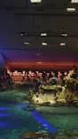 すみだ水族館に投稿された画像（2026/6/1）