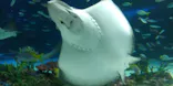 サンシャイン水族館に投稿された画像（2026/6/1）