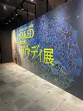 NAKED meets ガウディ展【大阪】に投稿された画像（2026/6/1）