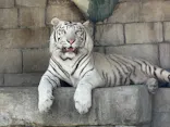 東武動物公園に投稿された画像（2026/6/1）