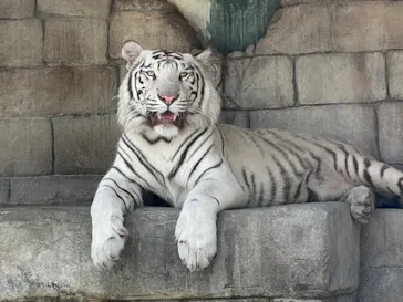 東武動物公園に投稿された画像（2026/6/1）