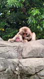 千葉市動物公園に投稿された画像（2026/6/1）
