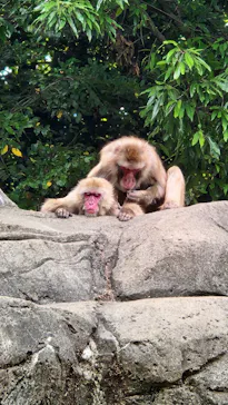 千葉市動物公園に投稿された画像（2026/6/1）