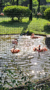 千葉市動物公園に投稿された画像（2026/6/1）