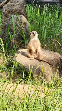 千葉市動物公園に投稿された画像（2026/6/1）