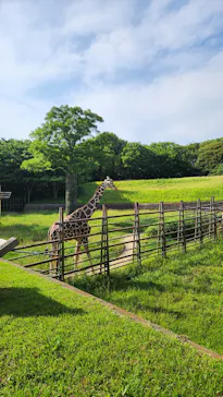千葉市動物公園に投稿された画像（2026/6/1）