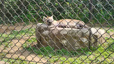 千葉市動物公園に投稿された画像（2026/6/1）