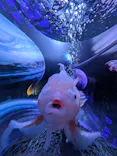 ひらかたパークに投稿された画像（2026/6/1）