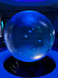 新江ノ島水族館に投稿された画像（2026/6/1）