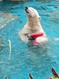 天王寺動物園に投稿された画像（2026/6/1）