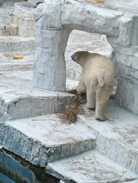 天王寺動物園に投稿された画像（2026/6/1）