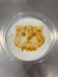 Cat Café MOFF SHIMINT HIROSHIMA店に投稿された画像（2026/6/1）