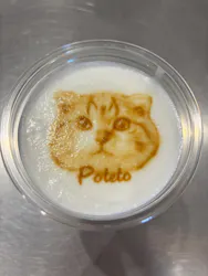 Cat Café MOFF SHIMINT HIROSHIMA店に投稿された画像（2026/6/1）