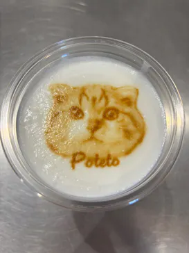 Cat Café MOFF SHIMINT HIROSHIMA店に投稿された画像（2026/6/1）