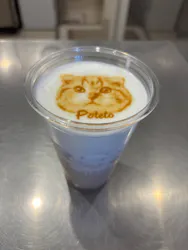 Cat Café MOFF SHIMINT HIROSHIMA店に投稿された画像（2026/6/1）