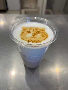 Cat Café MOFF SHIMINT HIROSHIMA店に投稿された画像（2026/6/1）