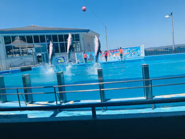 のとじま水族館に投稿された画像（2026/6/1）
