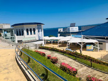 のとじま水族館に投稿された画像（2026/6/1）