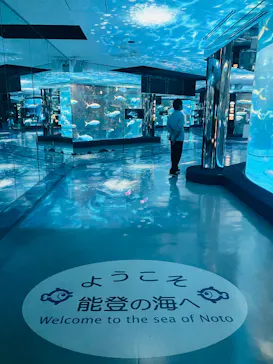 のとじま水族館に投稿された画像（2026/6/1）