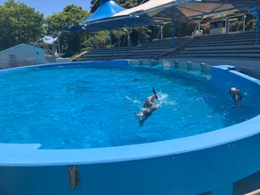 のとじま水族館に投稿された画像（2026/6/1）