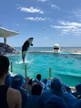 鴨川シーワールドに投稿された画像（2026/6/1）