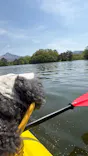 アウトドアスポーツクラブ バックス 桧原湖店に投稿された画像（2026/6/1）