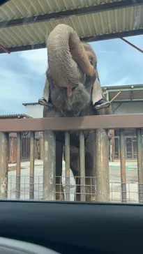 那須サファリパークに投稿された画像（2026/6/1）