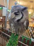 Moff animal cafe イオンモール幕張新都心店に投稿された画像（2026/6/2）