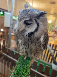 Moff animal cafe イオンモール幕張新都心店に投稿された画像（2026/6/1）